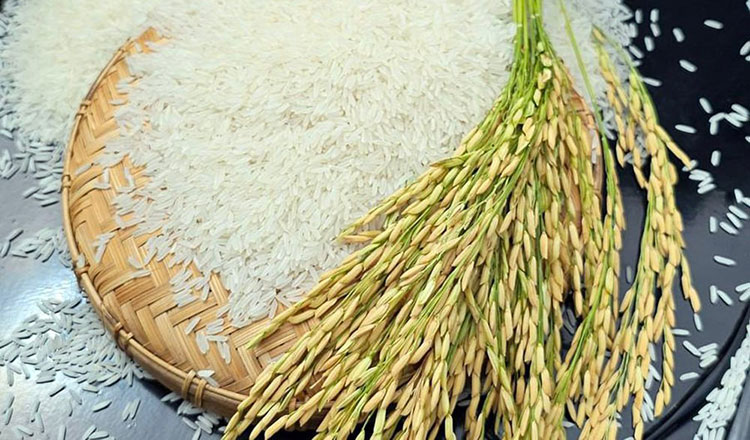 Rice exports exceed 940,000 tonnes in 2025